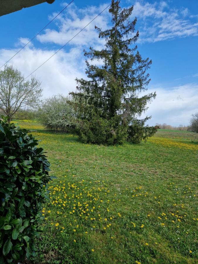 Maison Cassin47 Lavergne  エクステリア 写真